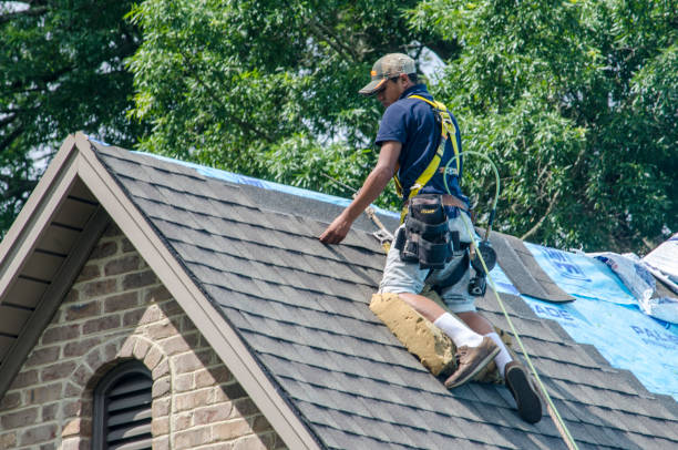 Quick and Trustworthy Emergency Roof Repair Services in Stanley, VA